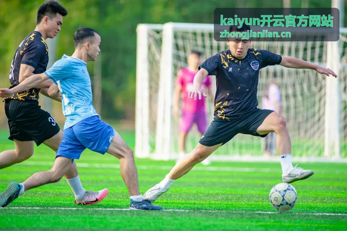 kaiyun开云官方网站等级权益对照资料表
